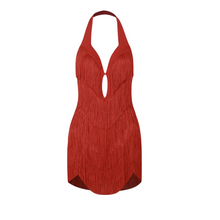 Load image into Gallery viewer, Heat Waves Fringe Dress