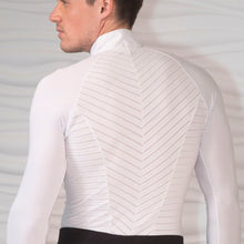 Load image into Gallery viewer, Men's Mandrin Stripe Ballroom Shirt